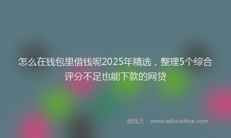 怎么在钱包里借钱呢2025年精选，整理5个综合评分不足也能下款的网贷