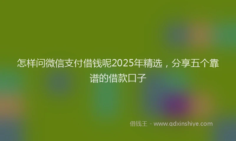 怎样问微信支付借钱呢2025年精选，分享五个靠谱的借款口子