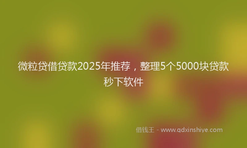 微粒贷借贷款2025年推荐，整理5个5000块贷款秒下软件