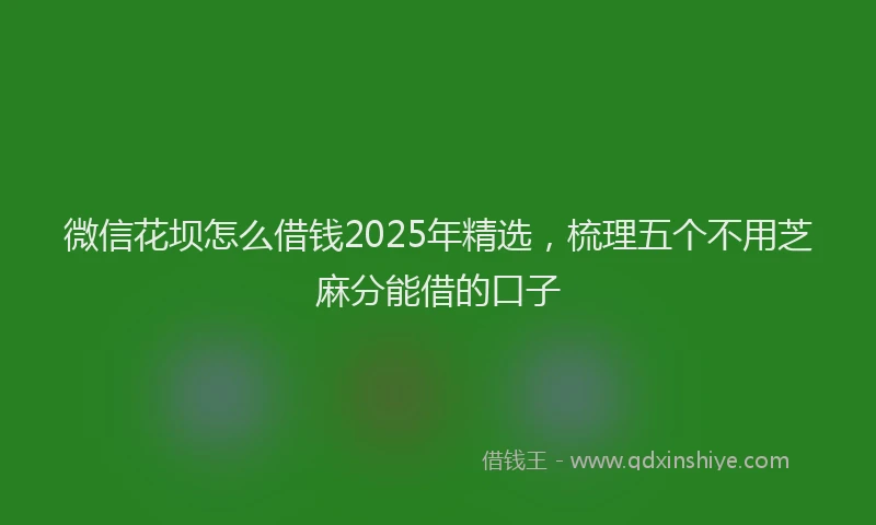 微信花坝怎么借钱2025年精选，梳理五个不用芝麻分能借的口子