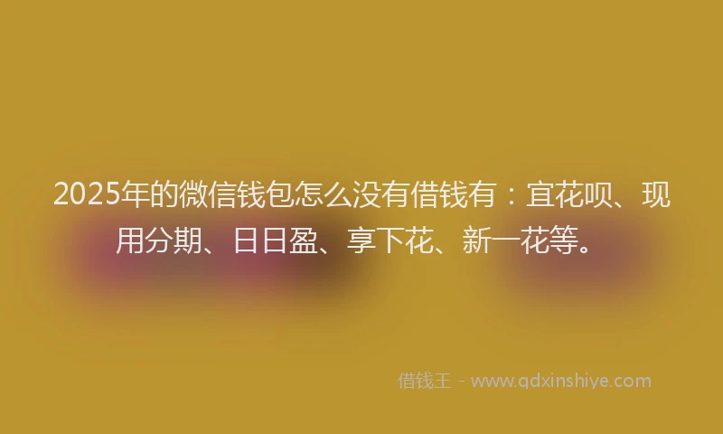 2025年的微信钱包怎么没有借钱有：宜花呗、现用分期、日日盈、享下花、新一花等。