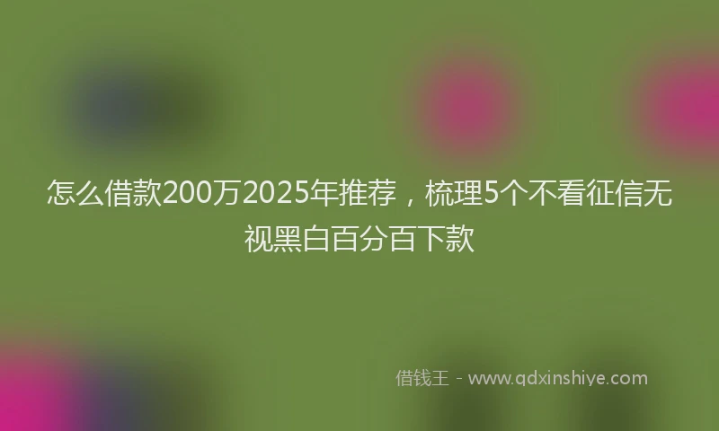 怎么借款200万2025年推荐，梳理5个不看征信无视黑白百分百下款