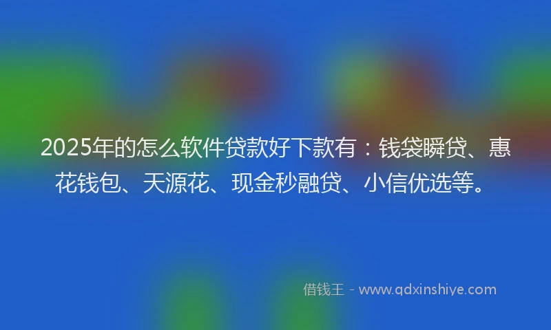 2025年的怎么软件贷款好下款有：钱袋瞬贷、惠花钱包、天源花、现金秒融贷、小信优选等。