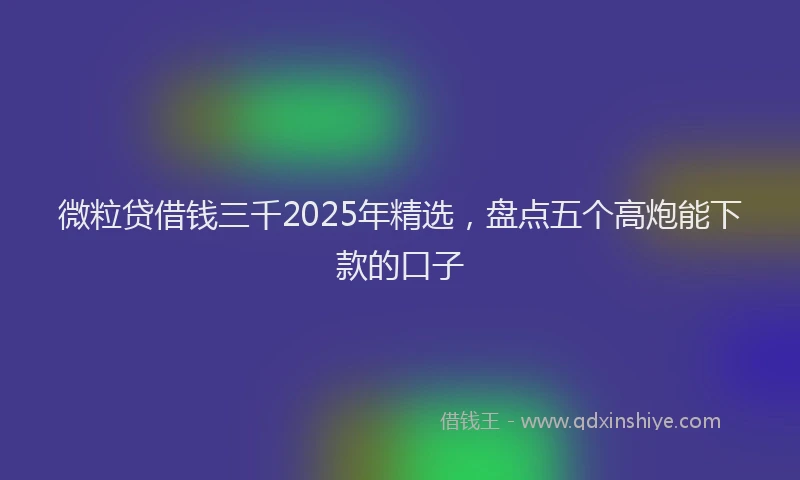 微粒贷借钱三千2025年精选，盘点五个高炮能下款的口子