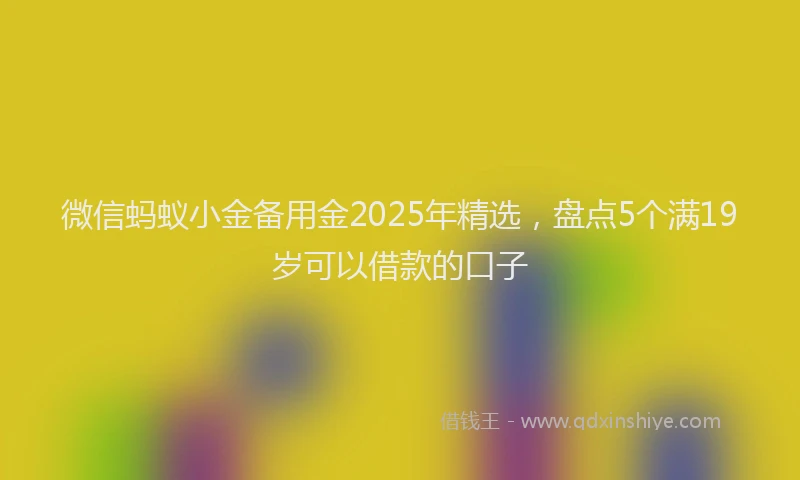 微信蚂蚁小金备用金2025年精选，盘点5个满19岁可以借款的口子