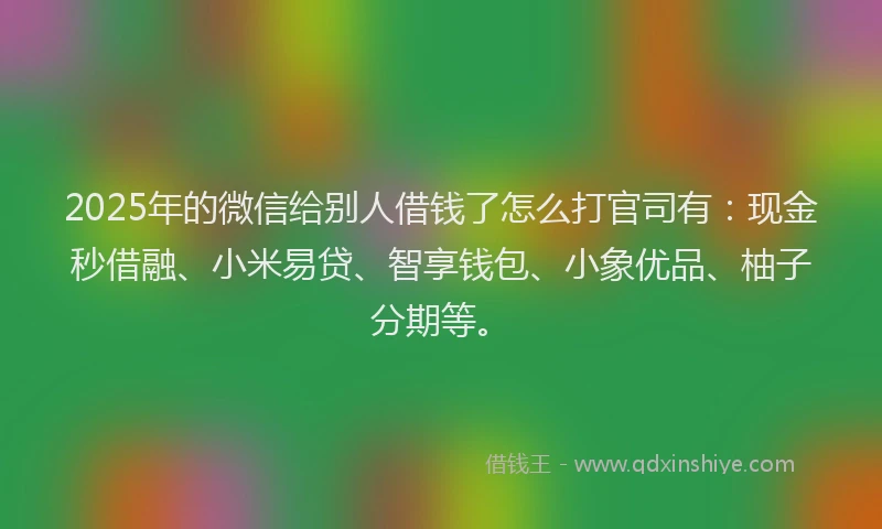 2025年的微信给别人借钱了怎么打官司有：现金秒借融、小米易贷、智享钱包、小象优品、柚子分期等。