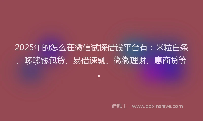 2025年的怎么在微信试探借钱平台有：米粒白条、哆哆钱包贷、易借速融、微微理财、惠商贷等。