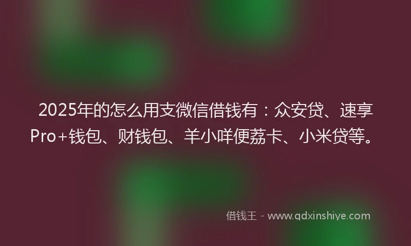 2025年的怎么用支微信借钱有：众安贷、速享Pro+钱包、财钱包、羊小咩便荔卡、小米贷等。
