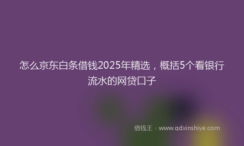 怎么京东白条借钱2025年精选，概括5个看银行流水的网贷口子