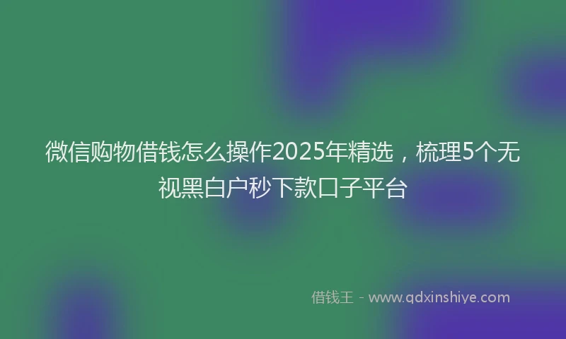 微信购物借钱怎么操作2025年精选，梳理5个无视黑白户秒下款口子平台