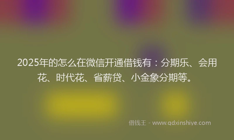 2025年的怎么在微信开通借钱有:分期乐、会用花、时代花、省薪贷、小金象分期等。