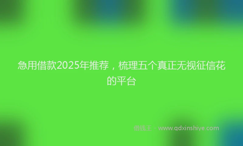 急用借款2025年推荐，梳理五个真正无视征信花的平台
