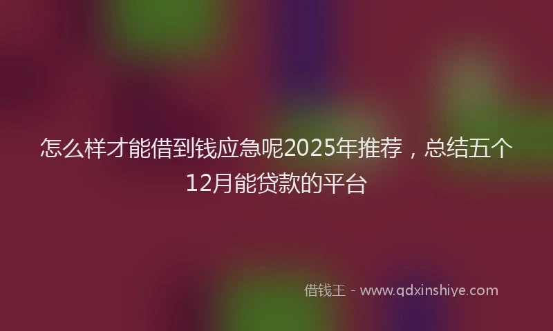 怎么样才能借到钱应急呢2025年推荐，总结五个12月能贷款的平台