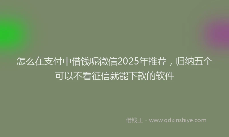 怎么在支付中借钱呢微信2025年推荐，归纳五个可以不看征信就能下款的软件