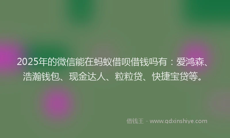 2025年的微信能在蚂蚁借呗借钱吗有：爱鸿森、浩瀚钱包、现金达人、粒粒贷、快捷宝贷等。