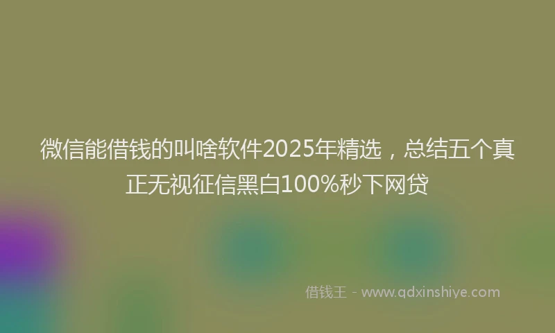 微信能借钱的叫啥软件2025年精选，总结五个真正无视征信黑白100%秒下网贷