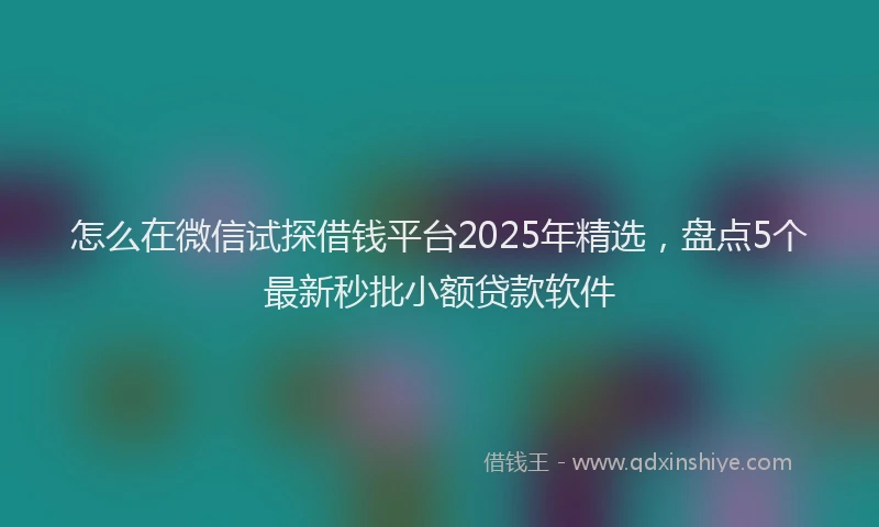 怎么在微信试探借钱平台2025年精选，盘点5个最新秒批小额贷款软件