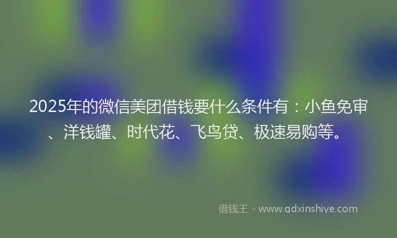 2025年的微信美团借钱要什么条件有：小鱼免审、洋钱罐、时代花、飞鸟贷、极速易购等。