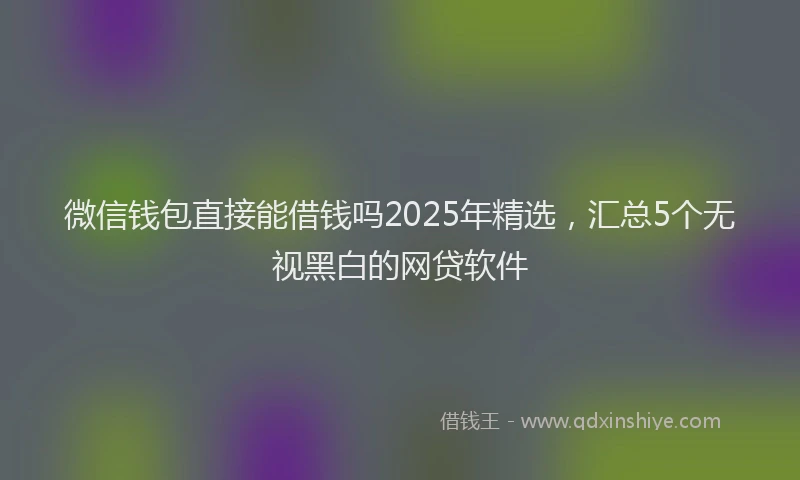 微信钱包直接能借钱吗2025年精选，汇总5个无视黑白的网贷软件