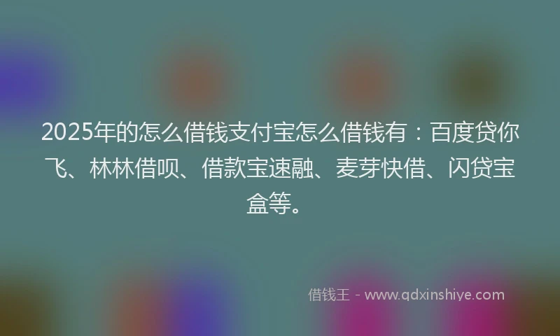 2025年的怎么借钱支付宝怎么借钱有：百度贷你飞、林林借呗、借款宝速融、麦芽快借、闪贷宝盒等。