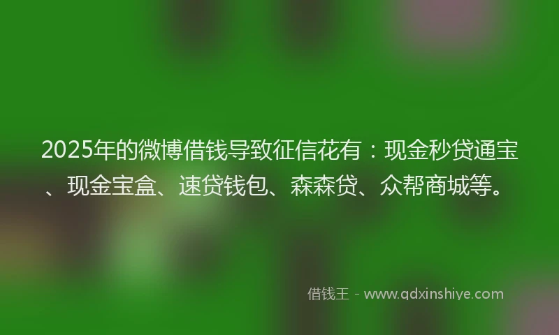 2025年的微博借钱导致征信花有：现金秒贷通宝、现金宝盒、速贷钱包、森森贷、众帮商城等。