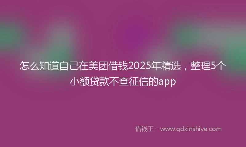 怎么知道自己在美团借钱2025年精选，整理5个小额贷款不查征信的app
