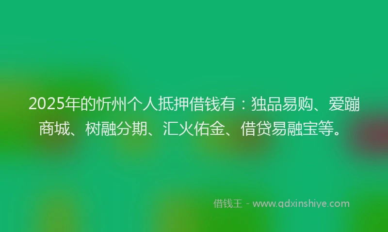 2025年的忻州个人抵押借钱有：独品易购、爱蹦商城、树融分期、汇火佑金、借贷易融宝等。