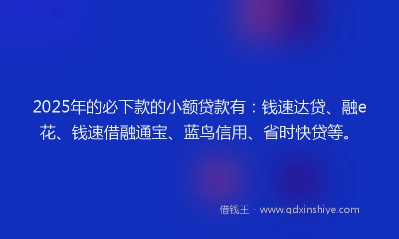 2025年的必下款的小额贷款有：钱速达贷、融e花、钱速借融通宝、蓝鸟信用、省时快贷等。