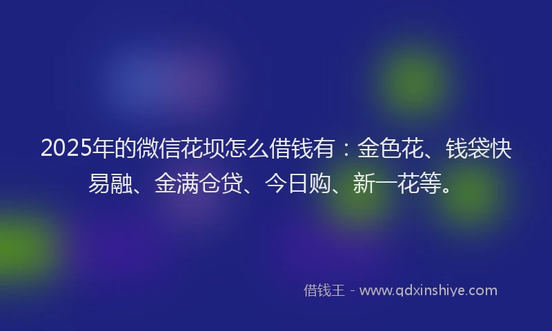 2025年的微信花坝怎么借钱有：金色花、钱袋快易融、金满仓贷、今日购、新一花等。