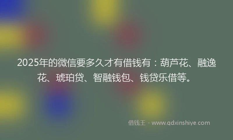 2025年的微信要多久才有借钱有：葫芦花、融逸花、琥珀贷、智融钱包、钱贷乐借等。