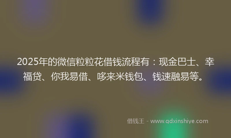 2025年的微信粒粒花借钱流程有：现金巴士、幸福贷、你我易借、哆来米钱包、钱速融易等。