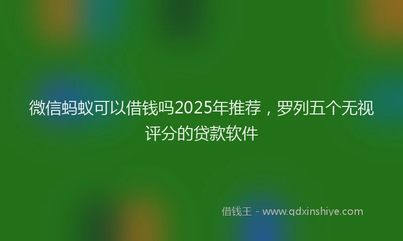 微信蚂蚁可以借钱吗2025年推荐，罗列五个无视评分的贷款软件