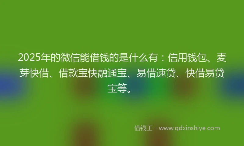 2025年的微信能借钱的是什么有：信用钱包、麦芽快借、借款宝快融通宝、易借速贷、快借易贷宝等。