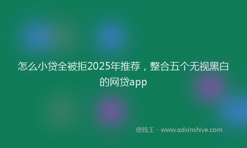 怎么小贷全被拒2025年推荐，整合五个无视黑白的网贷app