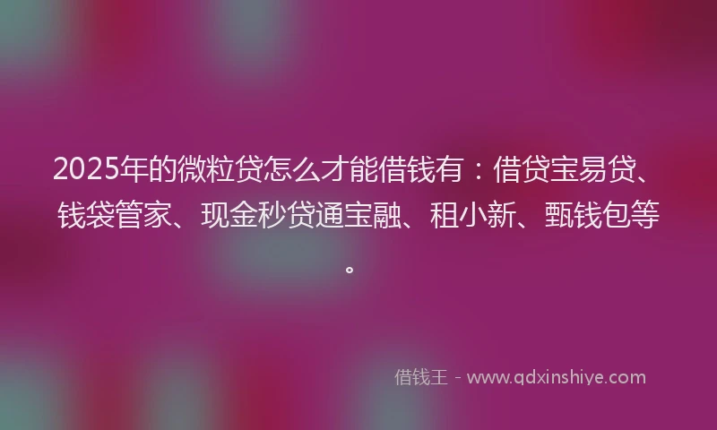 2025年的微粒贷怎么才能借钱有：借贷宝易贷、钱袋管家、现金秒贷通宝融、租小新、甄钱包等。