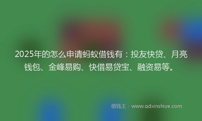2025年的怎么申请蚂蚁借钱有：投友快贷、月亮钱包、金峰易购、快借易贷宝、融资易等。
