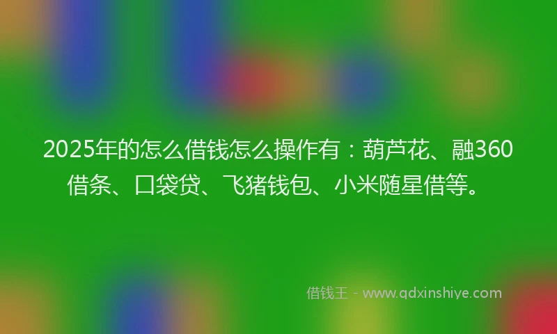2025年的怎么借钱怎么操作有：葫芦花、融360借条、口袋贷、飞猪钱包、小米随星借等。
