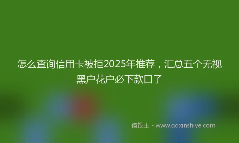 怎么查询信用卡被拒2025年推荐，汇总五个无视黑户花户必下款口子