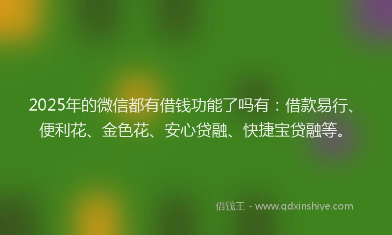 2025年的微信都有借钱功能了吗有：借款易行、便利花、金色花、安心贷融、快捷宝贷融等。