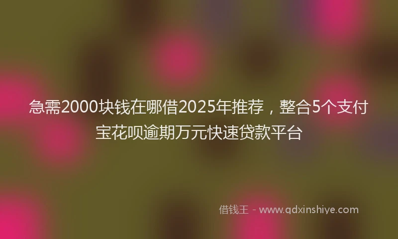 急需2000块钱在哪借2025年推荐，整合5个支付宝花呗逾期万元快速贷款平台