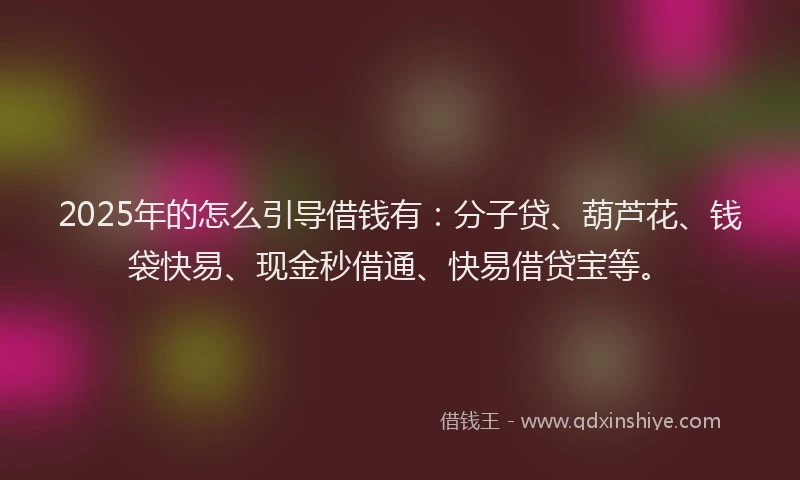 2025年的怎么引导借钱有：分子贷、葫芦花、钱袋快易、现金秒借通、快易借贷宝等。