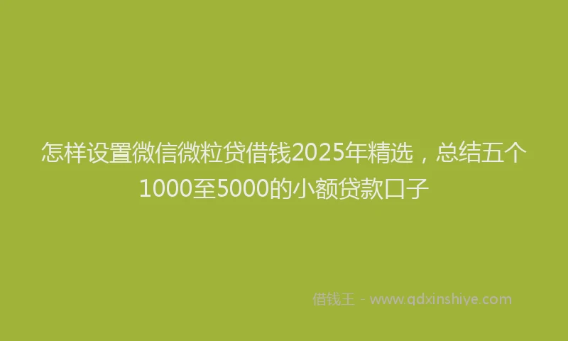 怎样设置微信微粒贷借钱2025年精选，总结五个1000至5000的小额贷款口子