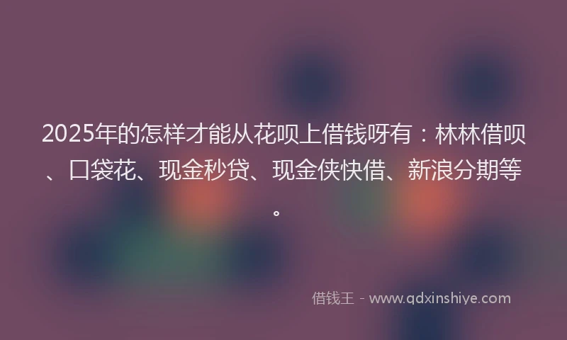 2025年的怎样才能从花呗上借钱呀有:林林借呗、口袋花、现金秒贷、现金侠快借、新浪分期等。