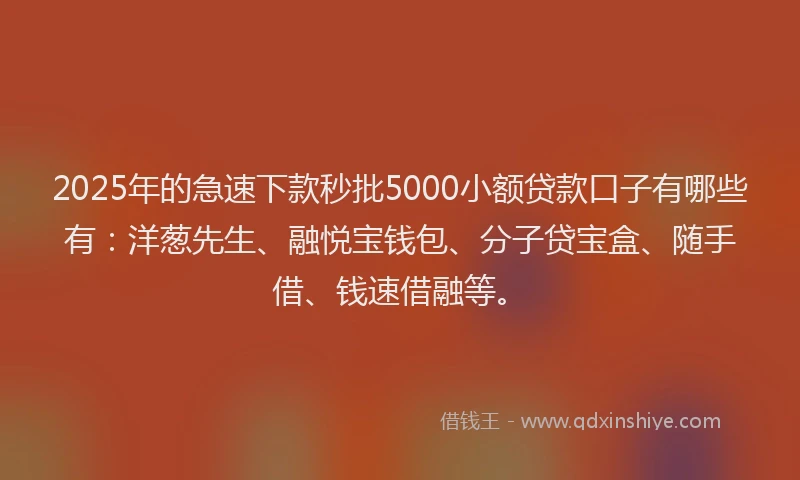 2025年的急速下款秒批5000小额贷款口子有哪些有：洋葱先生、融悦宝钱包、分子贷宝盒、随手借、钱速借融等。