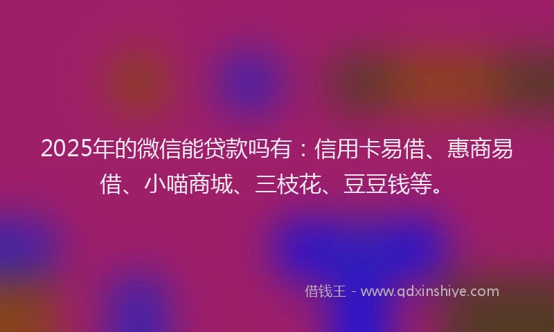 2025年的微信能贷款吗有：信用卡易借、惠商易借、小喵商城、三枝花、豆豆钱等。