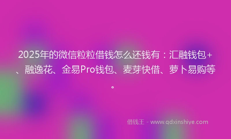 2025年的微信粒粒借钱怎么还钱有：汇融钱包+、融逸花、金易Pro钱包、麦芽快借、萝卜易购等。