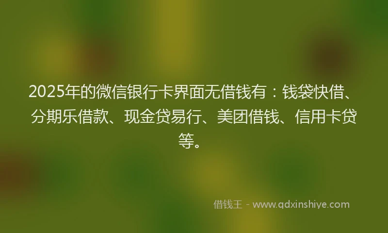 2025年的微信银行卡界面无借钱有：钱袋快借、分期乐借款、现金贷易行、美团借钱、信用卡贷等。