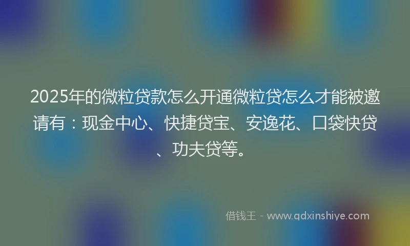 2025年的微粒贷款怎么开通微粒贷怎么才能被邀请有：现金中心、快捷贷宝、安逸花、口袋快贷、功夫贷等。