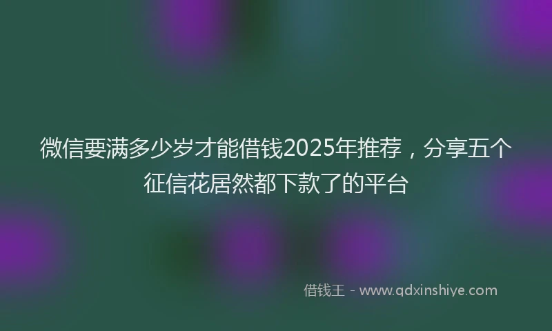 微信要满多少岁才能借钱2025年推荐，分享五个征信花居然都下款了的平台