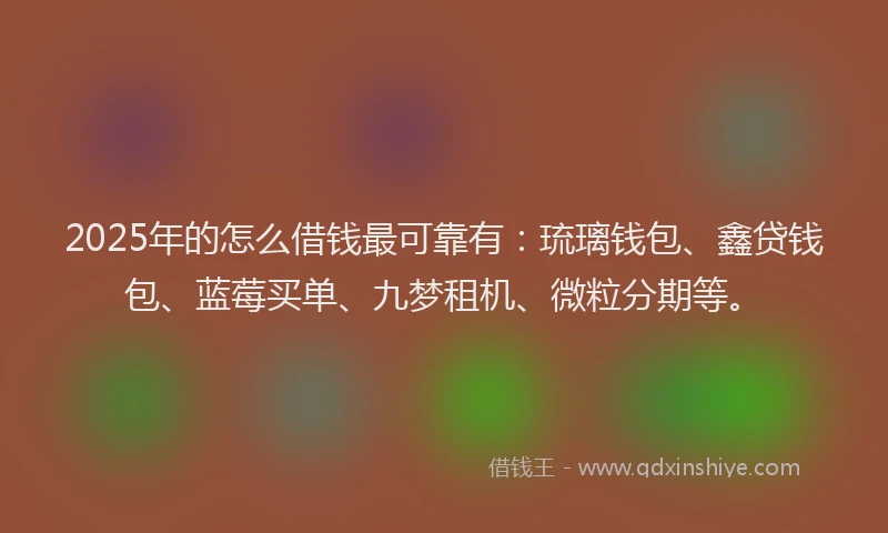 2025年的怎么借钱最可靠有：琉璃钱包、鑫贷钱包、蓝莓买单、九梦租机、微粒分期等。